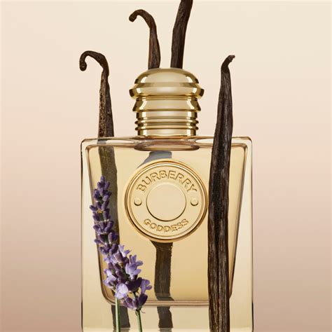 burberry perfume new|burberry perfume new launch.